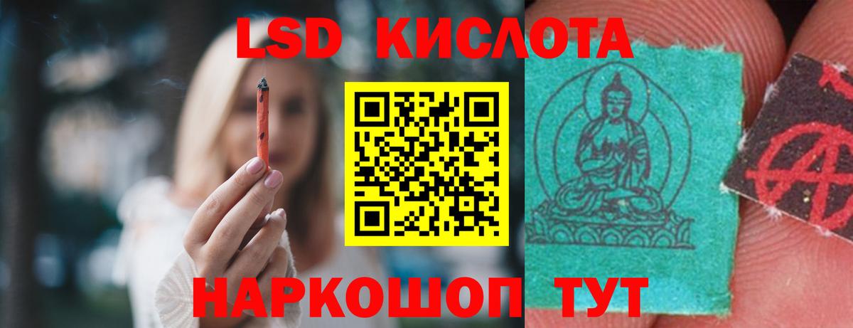 APVP Зеленодольск