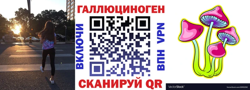 купить закладку  Зеленодольск  Псилоцибиновые грибы Psilocybe 